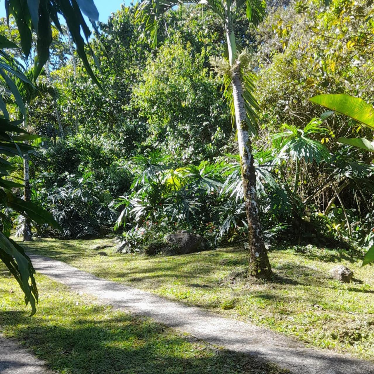 Corredores Del Pacuare La Suiza Экстерьер фото